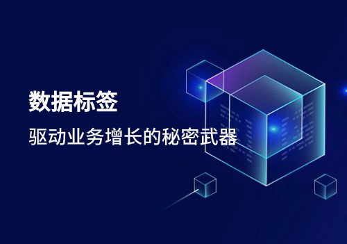 數(shù)據(jù)標(biāo)簽：驅(qū)動業(yè)務(wù)增長的秘密武器