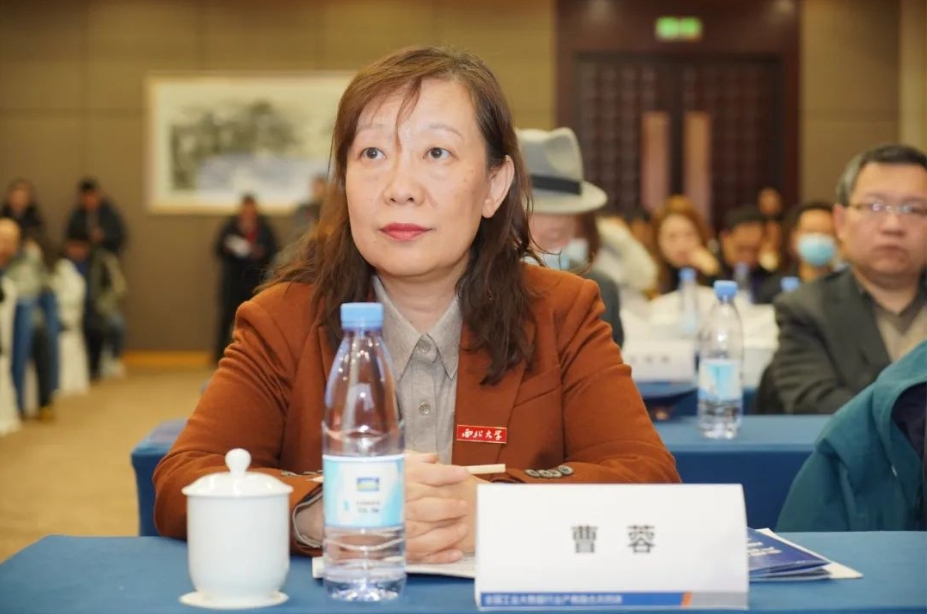 西北大學(xué)副校長曹蓉